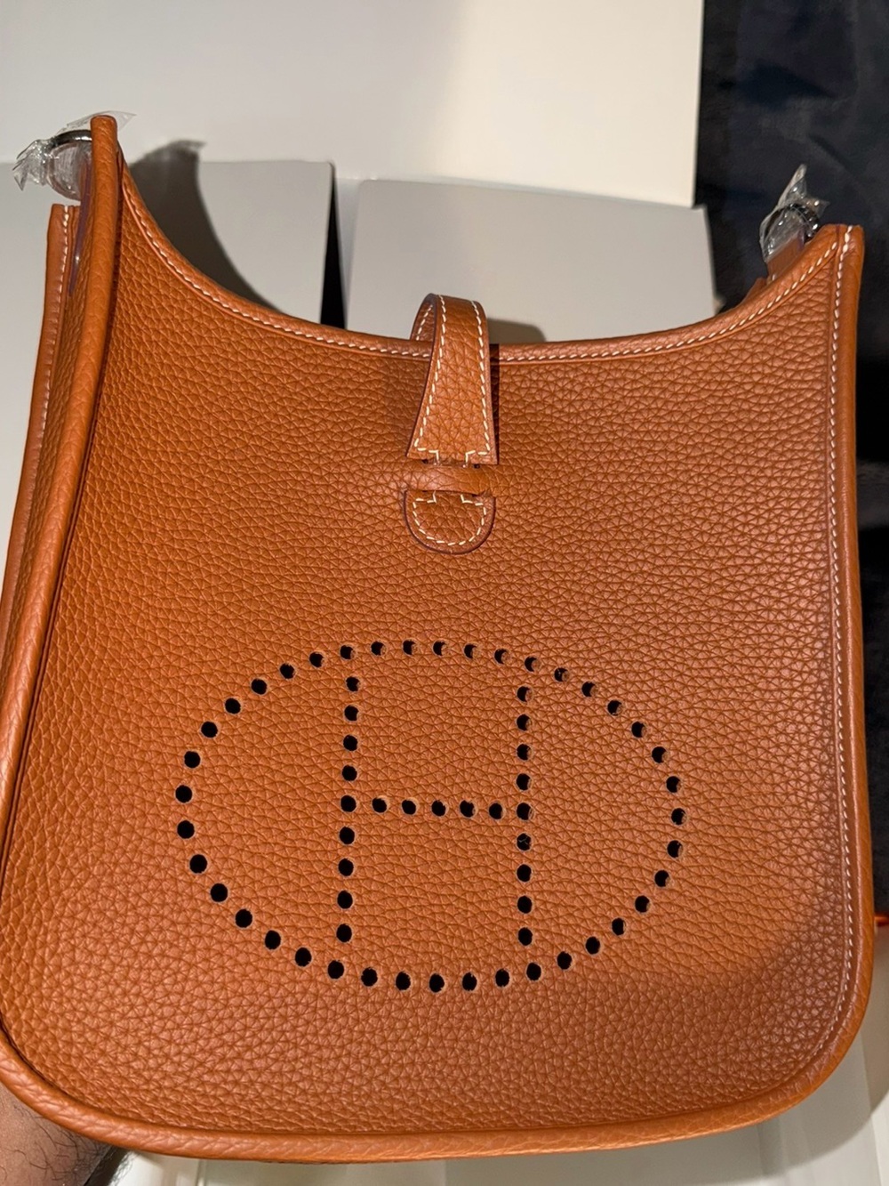 Women's Perforated Saddle Crossbody Bag in Tan